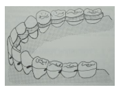 MOVILIDAD DENTAL