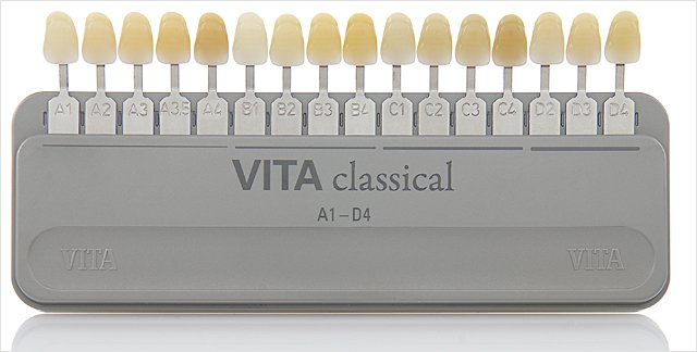 Teintier Vita tenu contre les dents naturelles