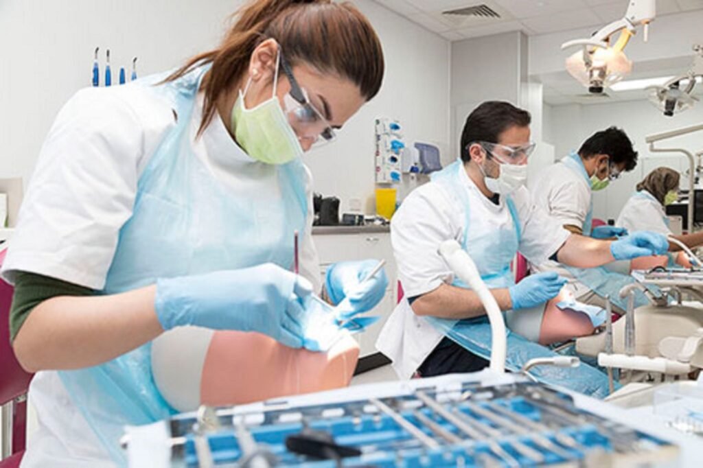 dentist student studying dental materials