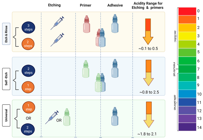 dental adhesive bonding systems comparison bottles