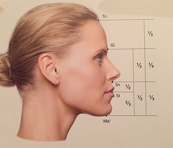 Profil facial esthétique