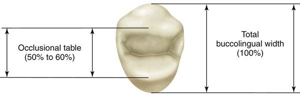 Distinguer face occlusale vs table occlusale
