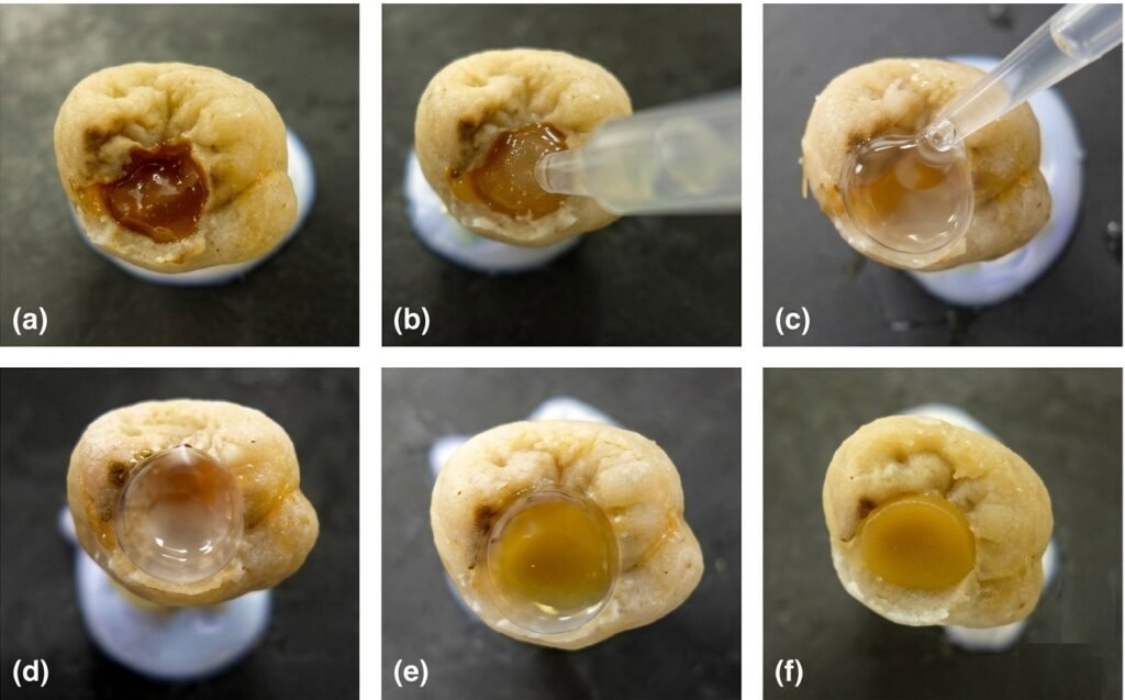Mode d'emploi : Carisolv