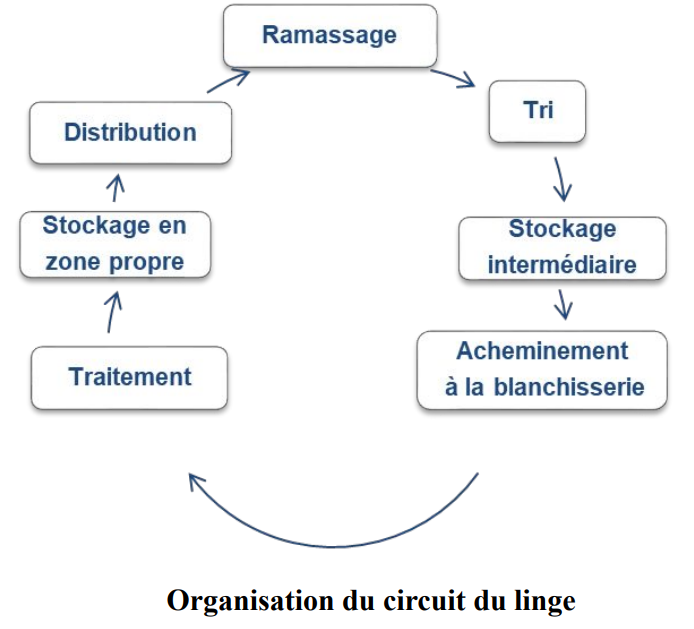 Hygiène hospitalière et infection nosocomiale (Hygiène et prévention)