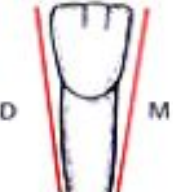 Anatomie descriptive des dents temporaires (Odontologie Conservatrice et Endodontie)
