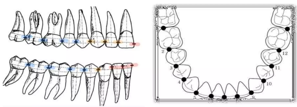 Point de contact proximal