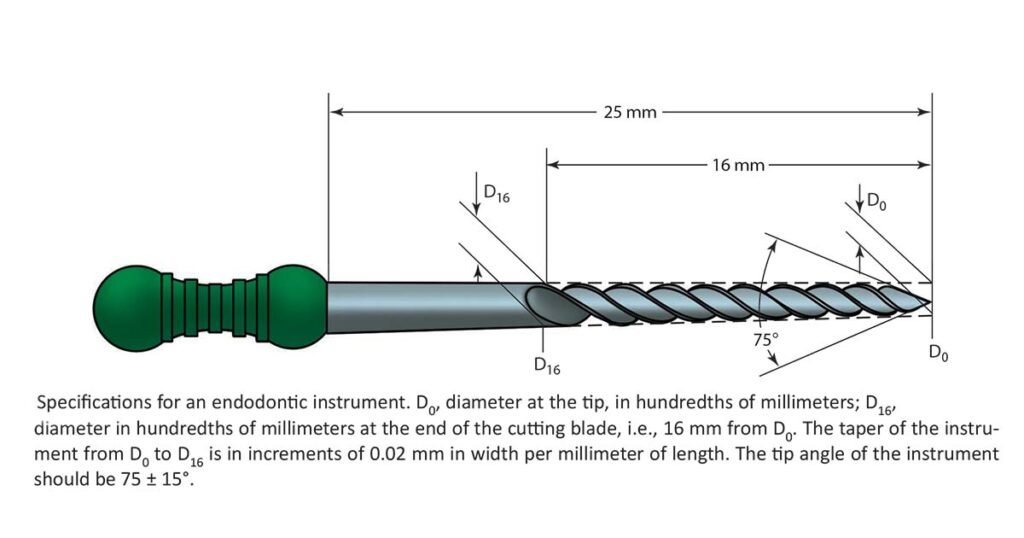 endodontic file anatomy diagram D1 D2 taper
