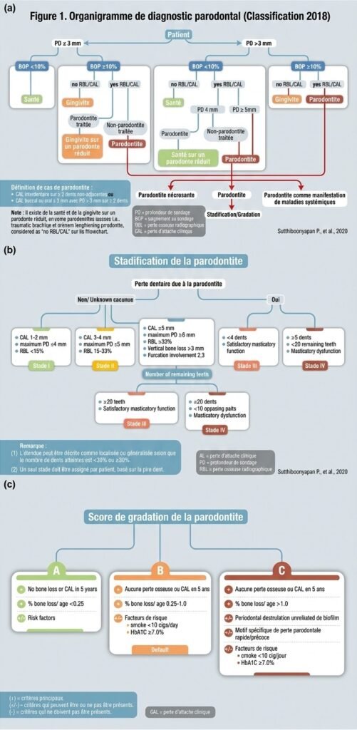  Séquence du plan de traitement parodontal global