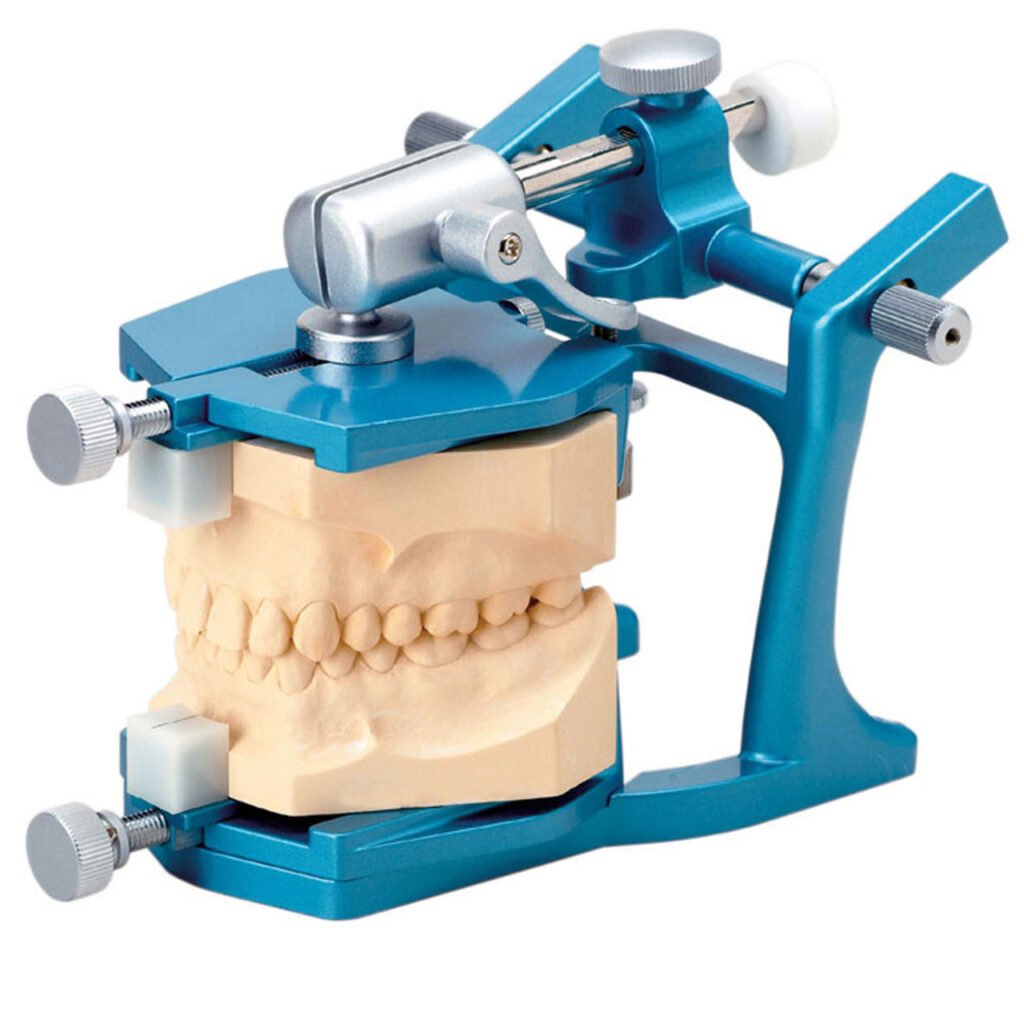 Montrer un vrai articulateur avec modèles en plâtre montés